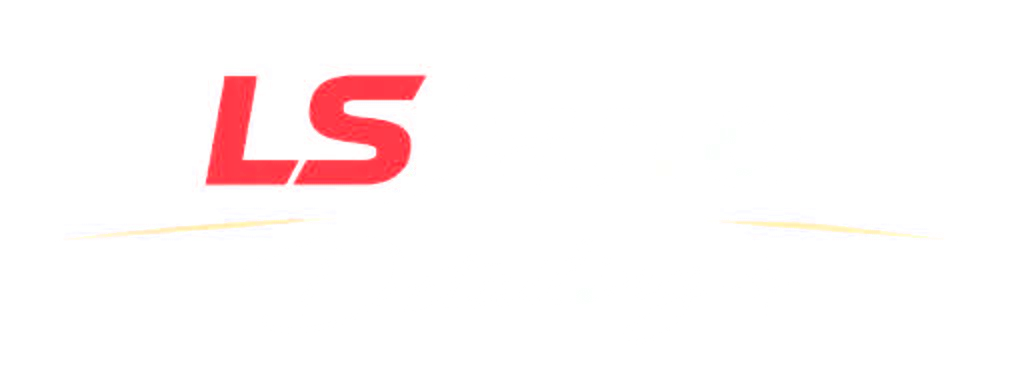 LS Auto Detailing